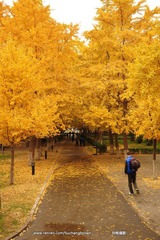 DSC_6167.JPG