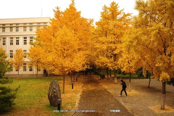 DSC_6168.JPG