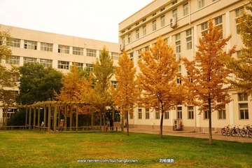 DSC_6176.JPG