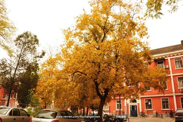 DSC_6190.JPG