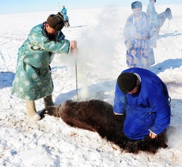 DSC_7697a.jpg