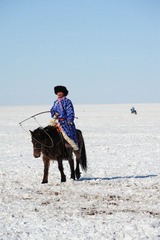 DSC_7714.JPG