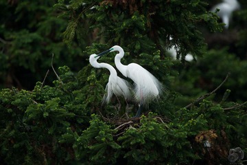 _DSC5052.jpg