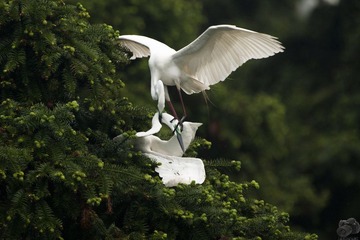 DSC_7219.jpg