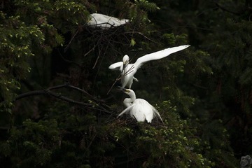 DSC_7273.jpg