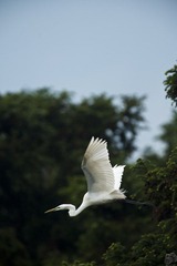 DSC_7388.jpg