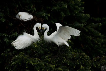 DSC_7459.jpg