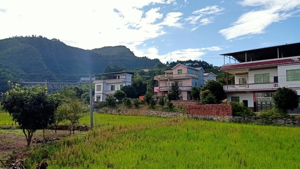 绿树村边合青山郭外斜记录淳朴的乡下风景