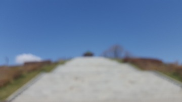457825