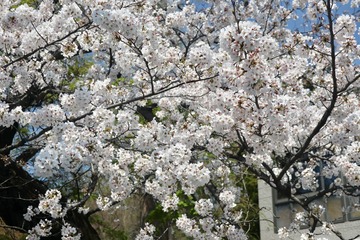 B5A7E26C-11EE-4816-82C4-14A95109CA0B/L0/001
