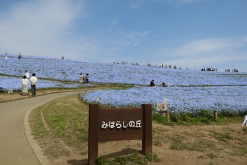 7D7549EA-A28C-44AF-8FB2-ACD5A09A493D/L0/001