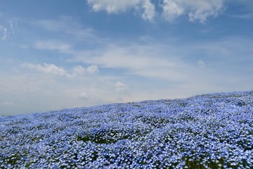 AD50CB35-2710-4F2C-8EF6-ABBAACEDA83F/L0/001