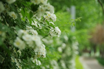 2DA1FA0D-39F5-410A-A9D4-EF6BE9CBE9AD/L0/001