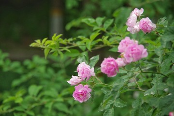 84703FD4-51E9-44F1-80E4-B6BCDC636051/L0/001