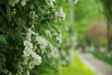 297C5829-0AE8-4EE5-A4E8-5EAE692171D7/L0/001