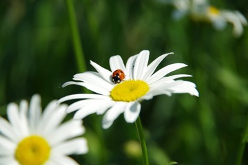 DD298583-52E2-487E-9AC4-3F8C4BF2B380/L0/001