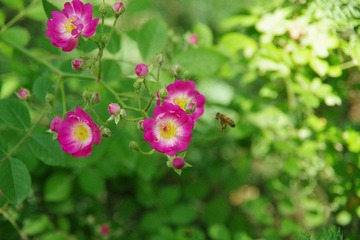 2E586B01-0838-4DF4-B645-414FB0B0AD92/L0/001