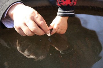 _MG_8800.JPG