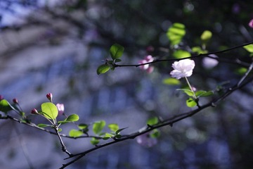 _MG_8813.JPG