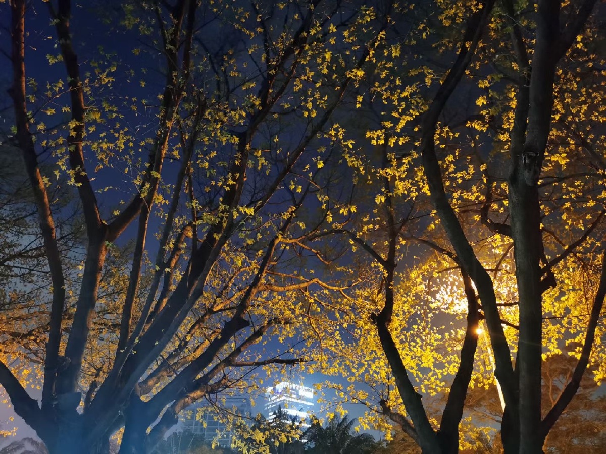 晚风吹送落霞 - 图虫