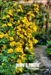 DSC_0171.jpg