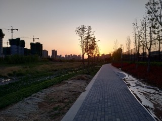 66253