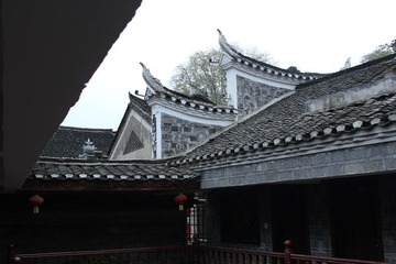 IMG_2212.JPG