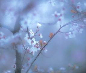 D92FB653-8765-4260-915C-3079CB438E95/L0/001
