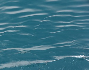 C0036CE2-6E14-4EBF-8562-9708EF65D88B/L0/001