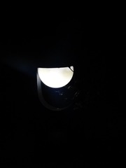 254842