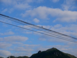 56206