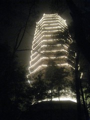 夜灯博雅塔