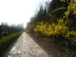 路