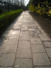 路