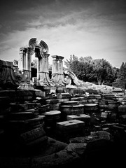 IMG_0969.jpg