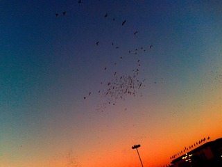 20121001.jpg