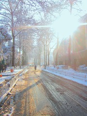 IMG_1228.jpg