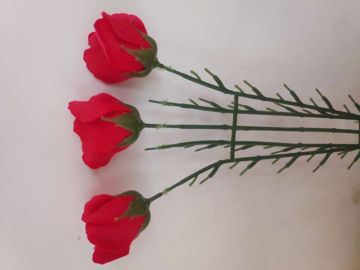 喜欢单支的玫瑰花 - lsr426 - 图虫