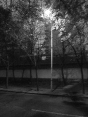IMG_3010_副本.jpg