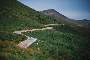 DSC_8408_1000.jpg