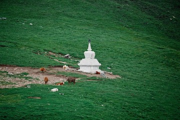 DSC_8630_1000.jpg