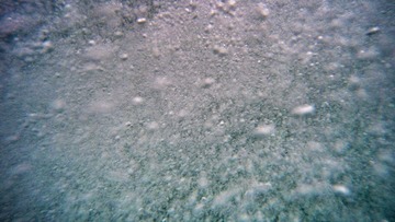 G0020635_1423734793538_high_1