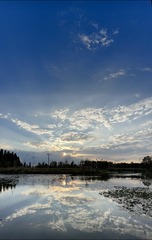 2196D008-7BC0-43DA-83B1-A432BB3DD602/L0/001