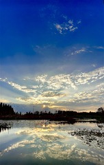 2196D008-7BC0-43DA-83B1-A432BB3DD602/L0/001