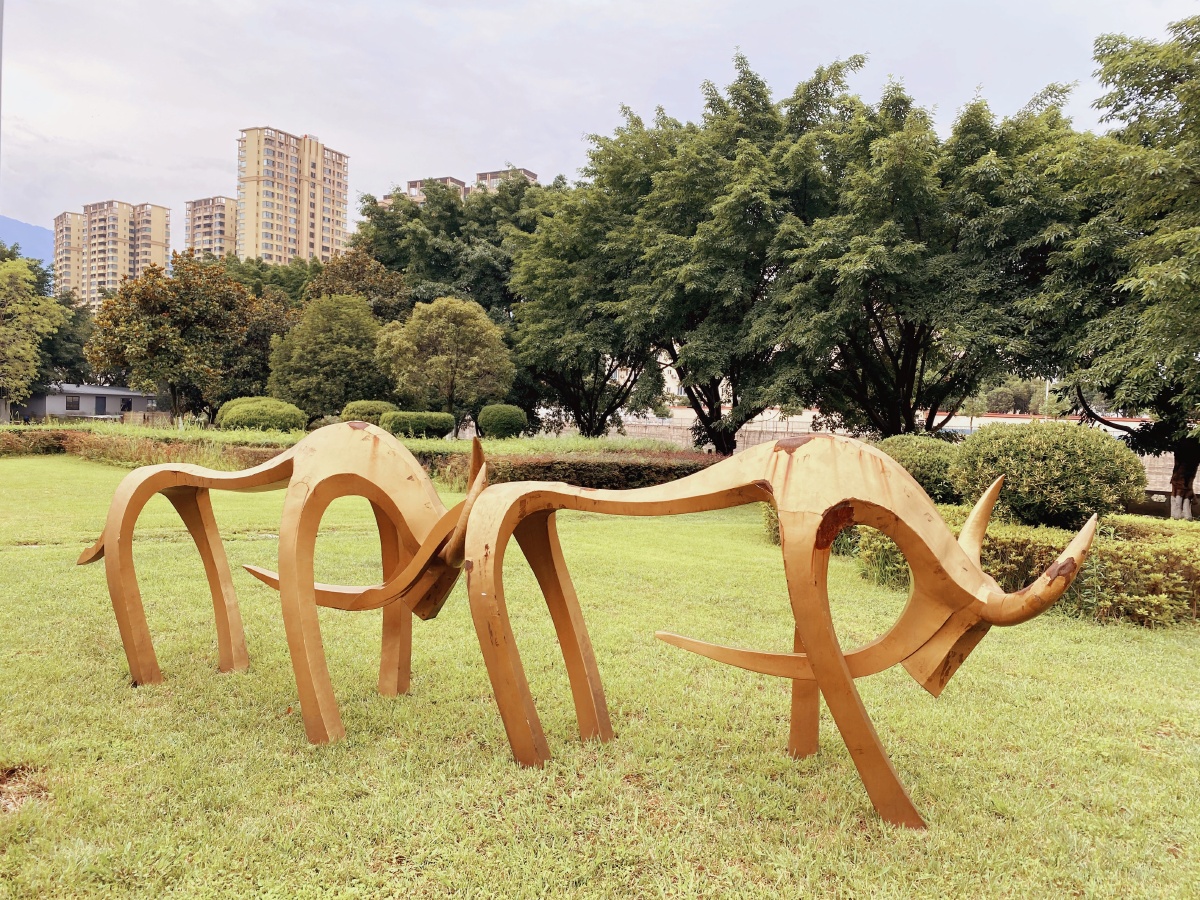 四川农业大学雅安校区的美景川农牛的精神影响了几代人