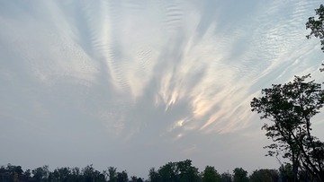1B3C21C6-CA1D-4129-93DF-F6B378245405/L0/001