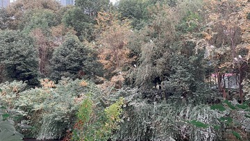 F249451E-B9C8-4BB8-B3A5-4759441CDB33/L0/001