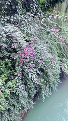 5574CF5F-D375-48F5-AF51-163AFF5FEDA8/L0/001