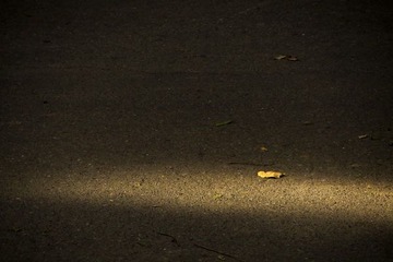 IMG_4076a.jpg