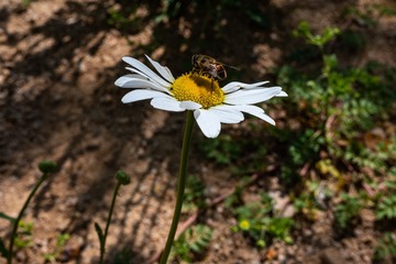 AE762478-31A6-4423-8FAE-3109753FB3F2/L0/001